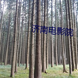 济(濟)南电(電)影院