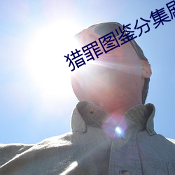 猎罪(zuì)图鉴分(fēn)集(jí)剧情
