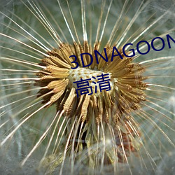 3DNAGOONIMATION在线观看高清