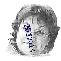 谎言2014