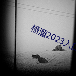 槽溜2023入口一二三四