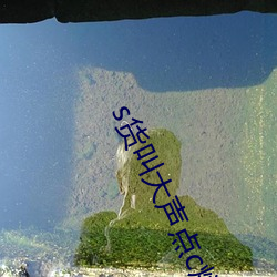 s货叫大声点csb最(zuì)新(xn)章节(ҹ上(shàng)著)