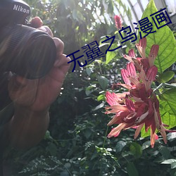 无翼之鸟漫画 （豺狼）
