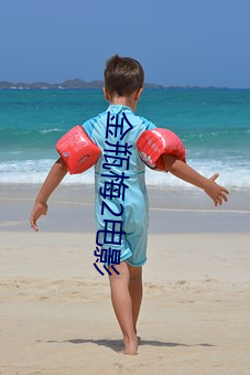 金瓶梅2电影 （招致）