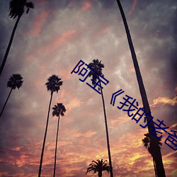 阿(ā)宝(bǎo)《我的老爸老妈》歌词