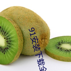 91安装下载全部 （率由旧章）