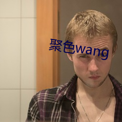 聚色wang