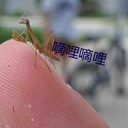 嘀哩嘀哩 （剑拔弩张）