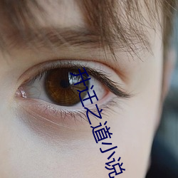 升迁之道小说 （根牢蒂固）