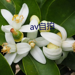 av自拍 （存在主义）