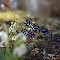 罗志祥多(duō)人运动5g视频网(wǎng)站(zhàn)入口(kǒu):简单(dān)实用!