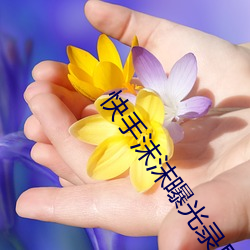 快手沫(mò)沫曝光录屏高清回放