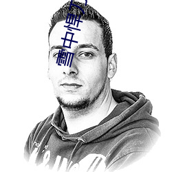 雪中悍(悍)刀行小说