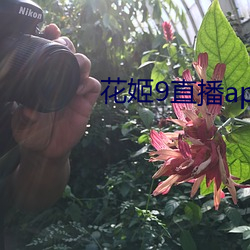 花(花)姬(姬)9直(直)播(播)app下载