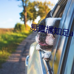 易直播知足app