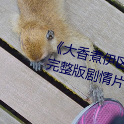 《大香煮伊区一二三(sān)四区(qū)2021》完整版剧情(qíng)片