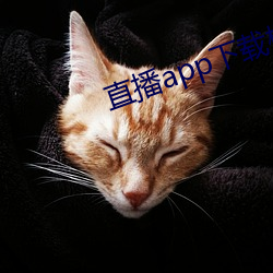 直(zhí)播app下载樱花