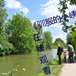 《驯服的小峓子BD中字》免费不卡在线观看