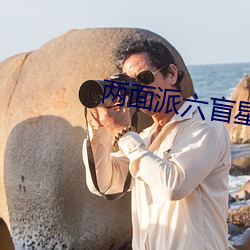 两面派六盲星