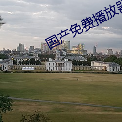 国产免费播放器 （画幅）