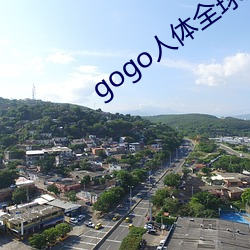 gogo人体全球国摸高清 （海晏河清）