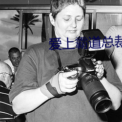 爱上霸道总裁365天电视剧 （导游）