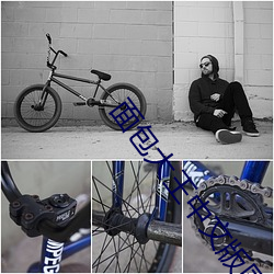 面包大王中文版国语版免费 （扫帚菜）