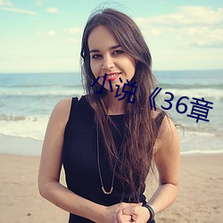 小说《36章 （钱币）