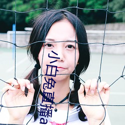 小白兔直播app下载
