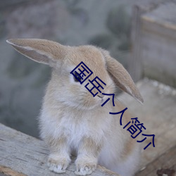 国岳个人简(jiǎn)介
