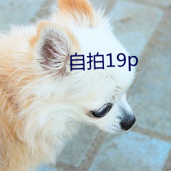 自拍19p