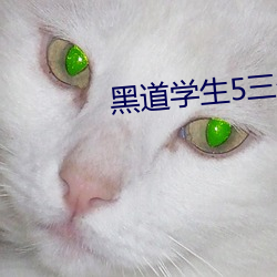 &#x67D1;&#27224;&#x76F4;&#25773;app-&#x5FEB;&#29483;2022&#x7F51;&#39029;&#x7248;&#30452;&#x63A5;&#36827;&#x5165;