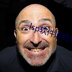 lsp软件库合集