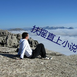 扶摇直上小说