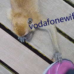 vodafonewifi巨大黑