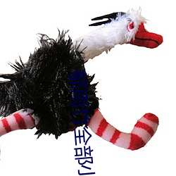 郁雨竹全部小说