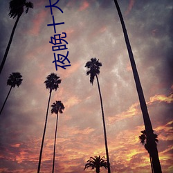 夜晚(晚)十(十)大直播软(軟)件