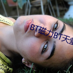 BT磁力BT天堂 （俗不可医）