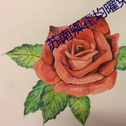 苏南卿霍均曜免费阅读小说完整版 （海桑陵谷）