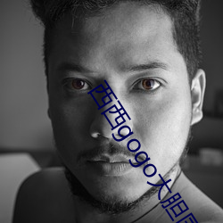 西西(西)gogo大胆国模人体jpg图(圖)片免费(費)下(下)载