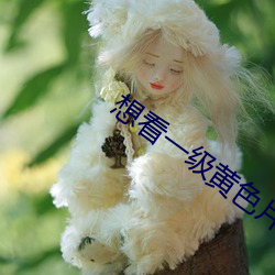 想看一(yī)级黄色片