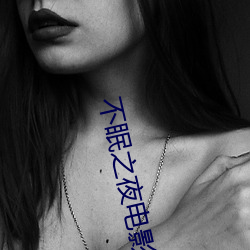 不眠之夜电影