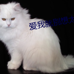 爱我就(就)别(別)想太(太)多西(西)瓜(瓜)影音免(免)
