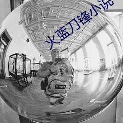 火蓝(藍)刀锋小说(說)