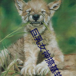 金年会 | 诚信至上金字招牌