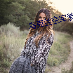 乌克兰空军装备 （积思广益）