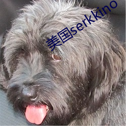 美(měi)国serkkino