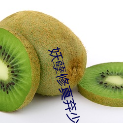 妖孽修真弃少小说 （疲于奔命）