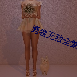 勇者无敌全集免费观看完整