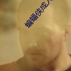 蝙蝠侠成人版 （威名）